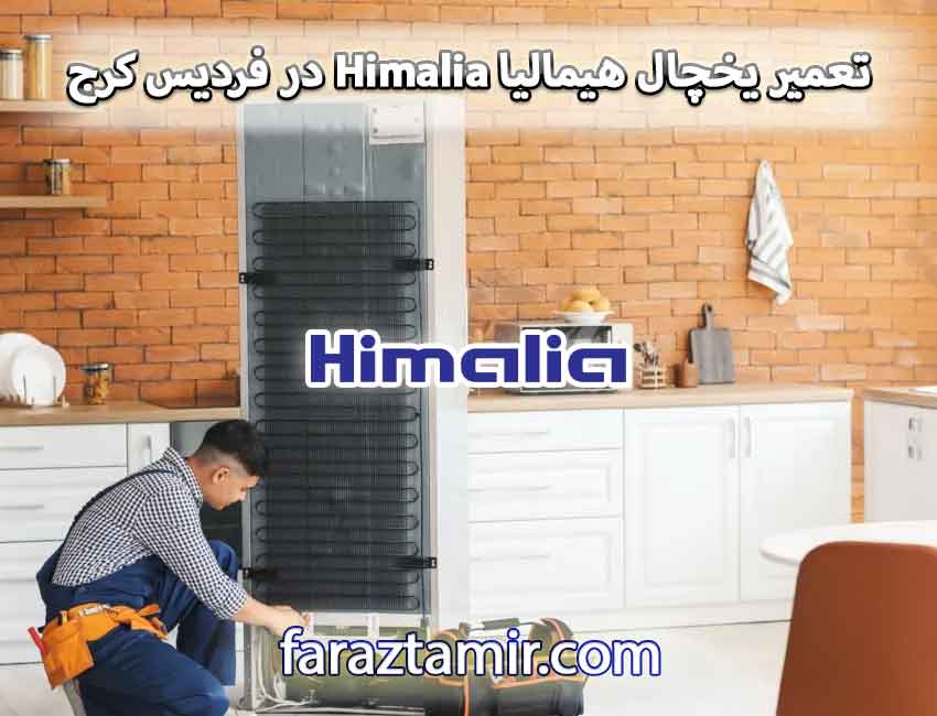 تعمیر یخچال هیمالیا Himalia در فردیس کرج