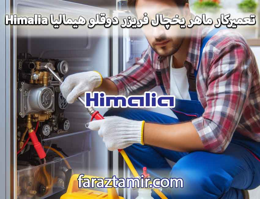 تعمیرکار ماهر یخچال فریزر دوقلو هیمالیا Himalia