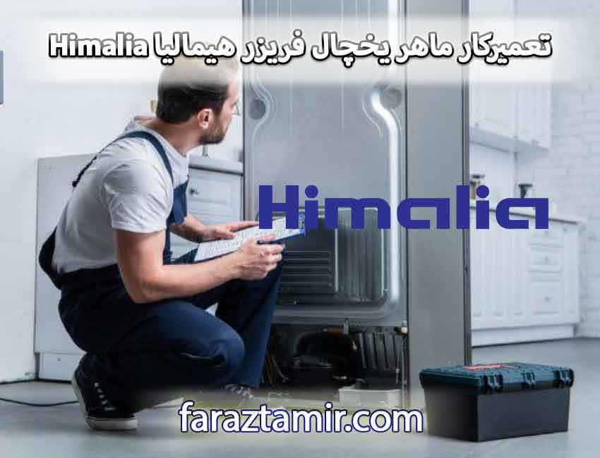 تعمیرکار ماهر یخچال فریزر دوقلو هیمالیا Himalia