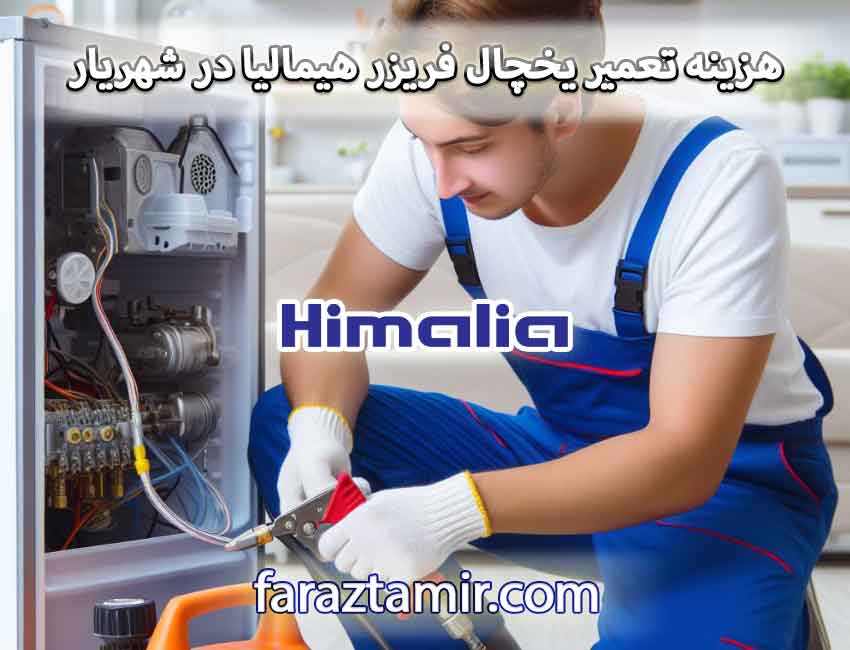 هزینه سرویس و تعمیر یخچال فریزر هیمالیا در شهریار