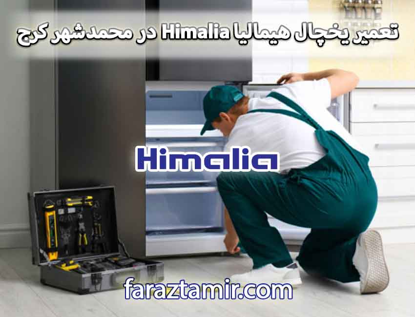 تعمیر یخچال هیمالیا Himalia در محمدشهر کرج